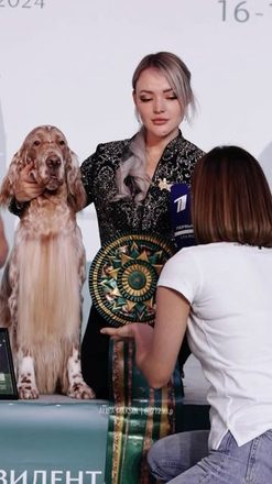 Ринг · розетка — кадр Марины Поляковой